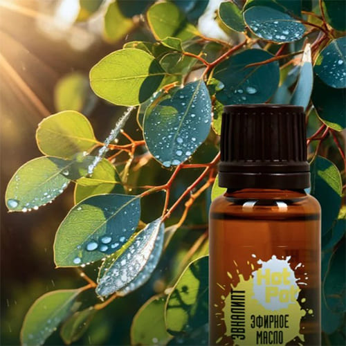 Масло эфирное ЭВКАЛИПТ HOT POT 15мл, 3/30