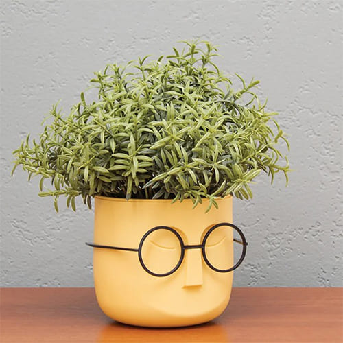 Горшок для цветов Стив d-115мм 0,65л со вставкой, банановый, 1/8