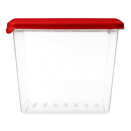 Контейнер для продуктов 1 л Homver Asti 221100406/04, квадратный, красный