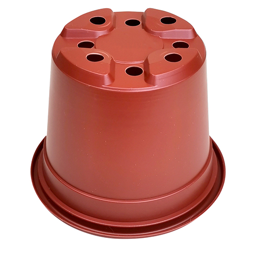 Горшок для рассады набор Color, 10 горшков 13*10,5см, терракот, 1/42