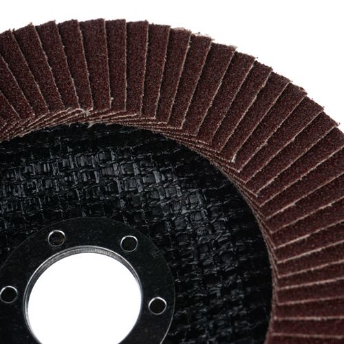 Диск лепестковый торцевой 125*22 Р100 Барракуда, 5/200