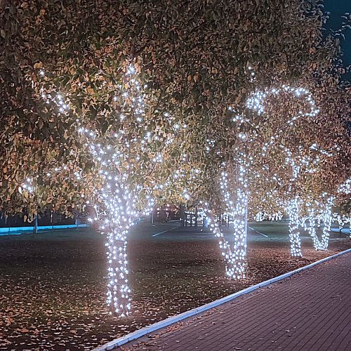 Гирлянда для улицы 20м 240 ламп LED чёрный провод, 8 реж, IP-54, Белый (возможность соединения)