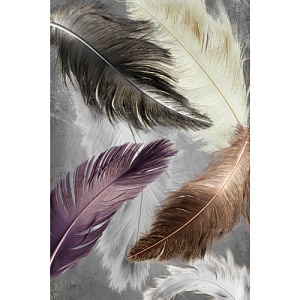 Коврик Dekorelle Velvet silk V268, 60x100см