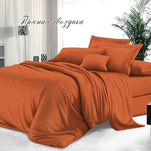 Комплект постельного белья Sateen De Luxe, Евро гладкокрашеный, наволочка 70х70 см, пряная гвоздика